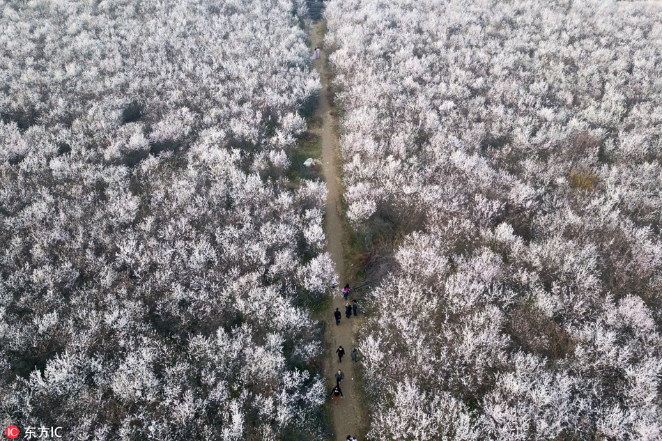 迪馬濟奧：羅馬2000萬歐報價勒費遭雷恩回絕，但兩邊正在挨近