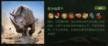 意天空：那不勒斯與克瓦拉茨赫利亞談續(xù)約，球員不會歸隊