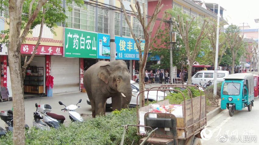 記者：尼科更想去巴薩而非英超，拉波爾塔已對買賣開綠燈