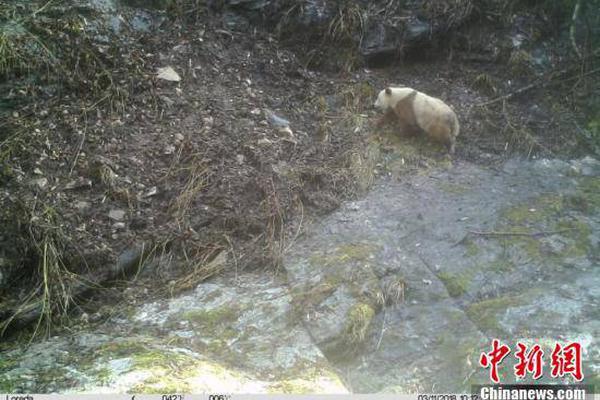 米體：合同明夏到期，沙拉維很快就會與羅馬續(xù)約