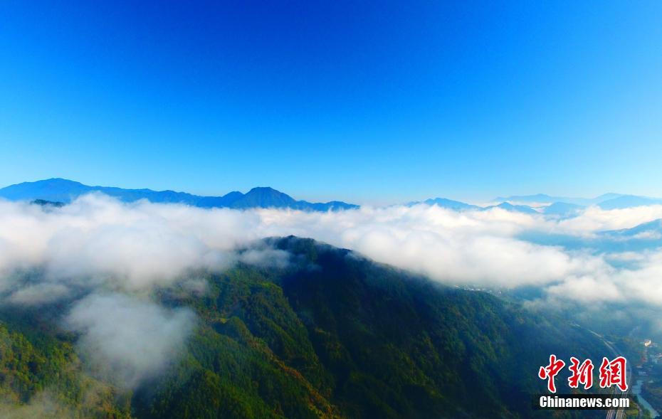 迪馬濟奧：羅馬2000萬歐報價勒費遭雷恩回絕，但兩邊正在挨近
