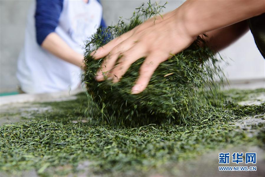 迪馬濟奧：米蘭預備滿意莫拉塔500萬歐年薪要求，解約金1300萬歐