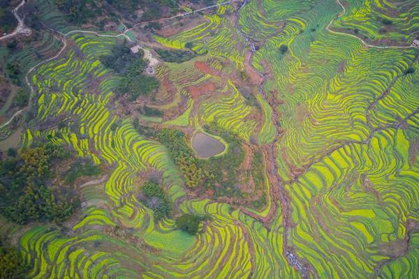 迪馬濟奧：米蘭預備滿意莫拉塔500萬歐年薪要求，解約金1300萬歐