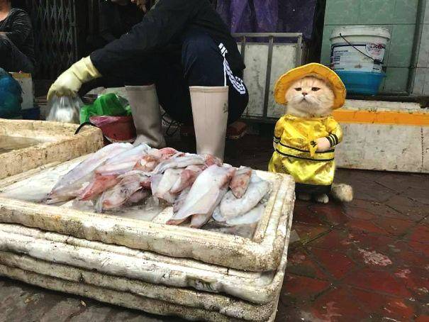 隊報：馬賽有意狼隊前鋒黃喜燦，德澤爾比很賞識他