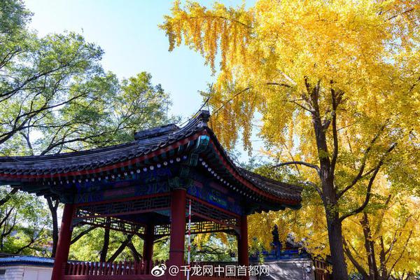 意天空：那不勒斯與克瓦拉茨赫利亞談續(xù)約，球員不會歸隊