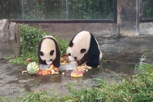業(yè)余足球→國家隊??法國新全家福：全員身穿自己啟蒙俱樂部球衣