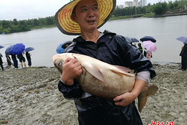 都體：尤文無力與英超競賽卡拉菲奧里，考慮基維奧爾和托迪博