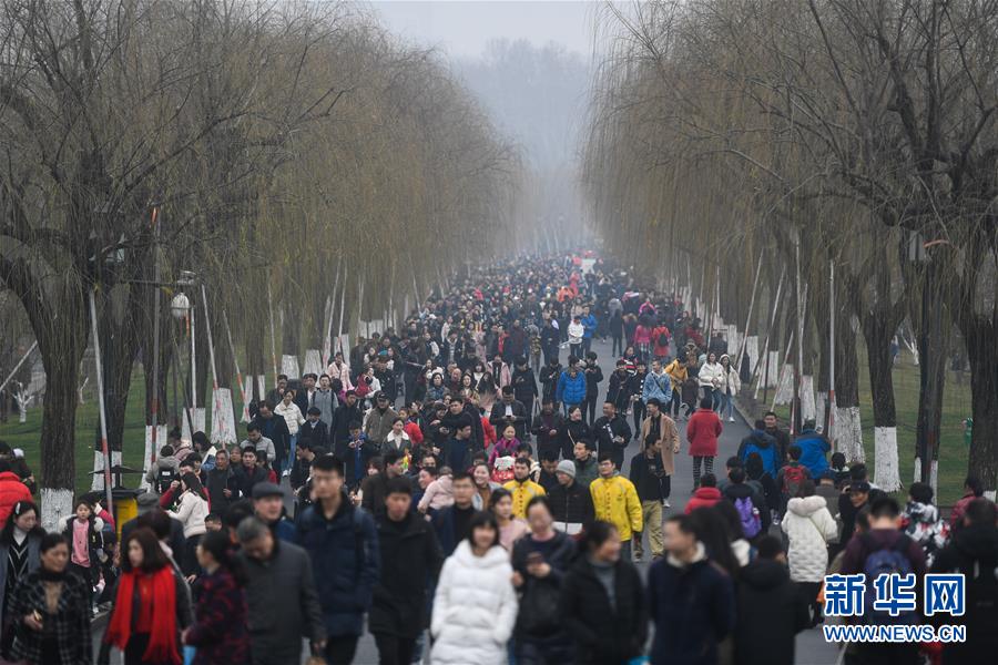 穆西亞拉：少有人能如凱恩般跑位，他在英格蘭時機不多但能進球
