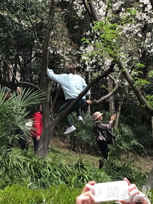 羅馬諾：24歲荷蘭中場維弗爾3000萬歐加盟布萊頓，很快Here we go