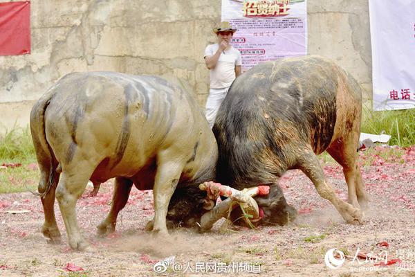 ??結束30年藍軍生涯！官方：切爾西功勛青訓主管尼爾