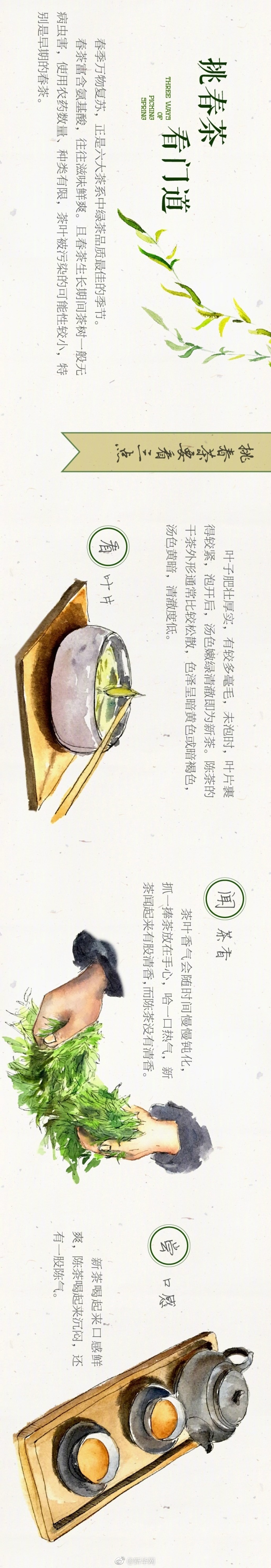 麥卡利斯特、凱塞多美洲杯數(shù)據(jù)：每90分鐘搶斷2比3.7，阻攔1比3