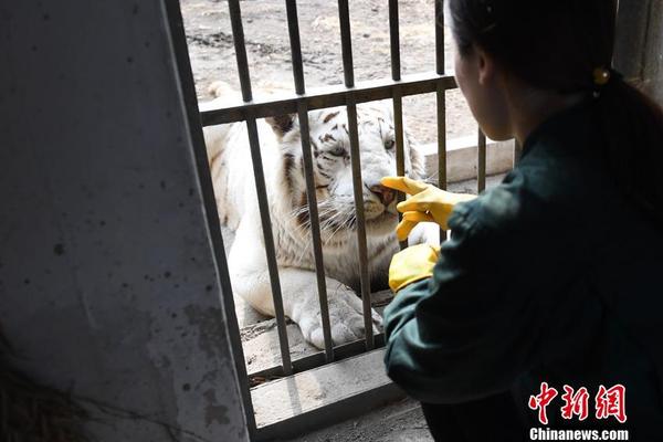 ??漢堡我們來了！葡萄牙隊社媒更新球隊飛機抵達比賽地機場