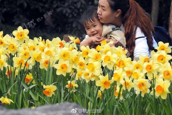 媒體人：其時國足勝沙特就在大連，挑選梭魚灣球場或許是好征兆