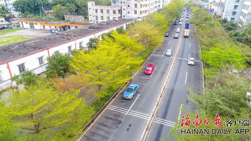 德天空記者：多特仍有意簽下切爾基，球員現(xiàn)在并不急于去巴黎