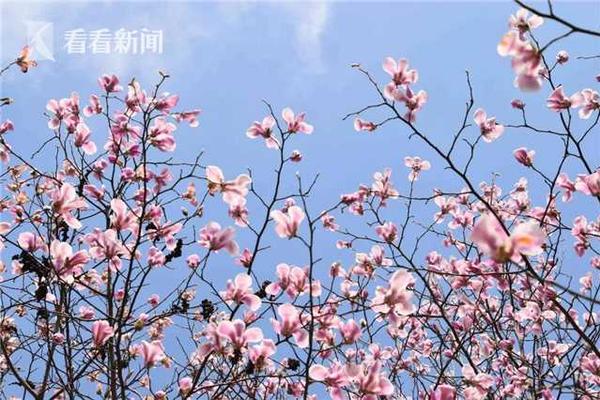 納帥發(fā)布會:我不重視亞馬爾只重視賈馬爾 維爾茨薩內2選1不是壞事