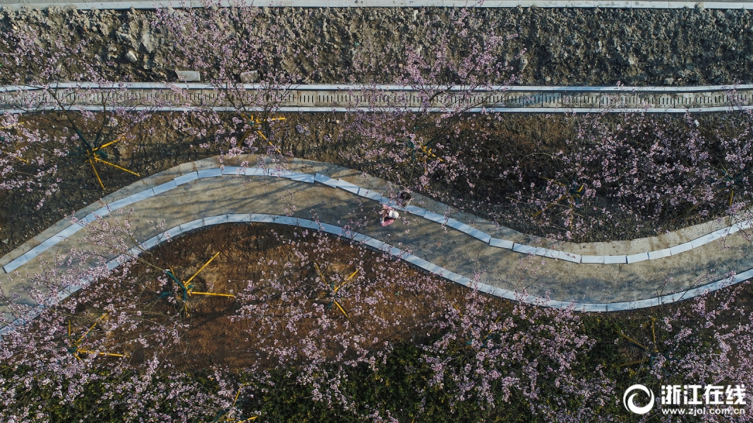 官方：前熱刺中場恩東貝萊自在轉會加盟尼斯，簽約至2026年