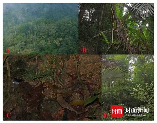 記者：曼城與萊比錫還沒有聯(lián)絡，但和奧爾莫都對互相有意