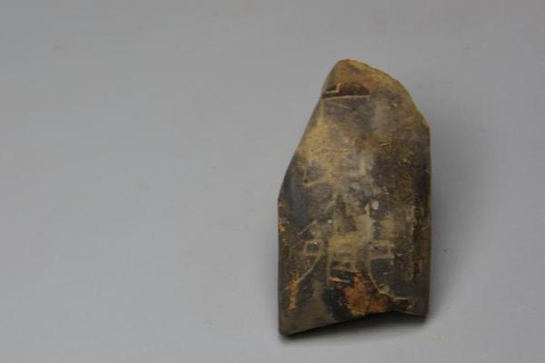 都體：尤文無力與英超競賽卡拉菲奧里，考慮基維奧爾和托迪博