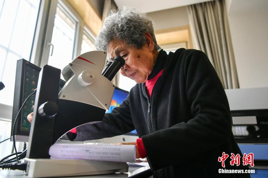 還剩2年合同&身價400萬歐，斯基拉：尤文為魯加尼標價500萬歐