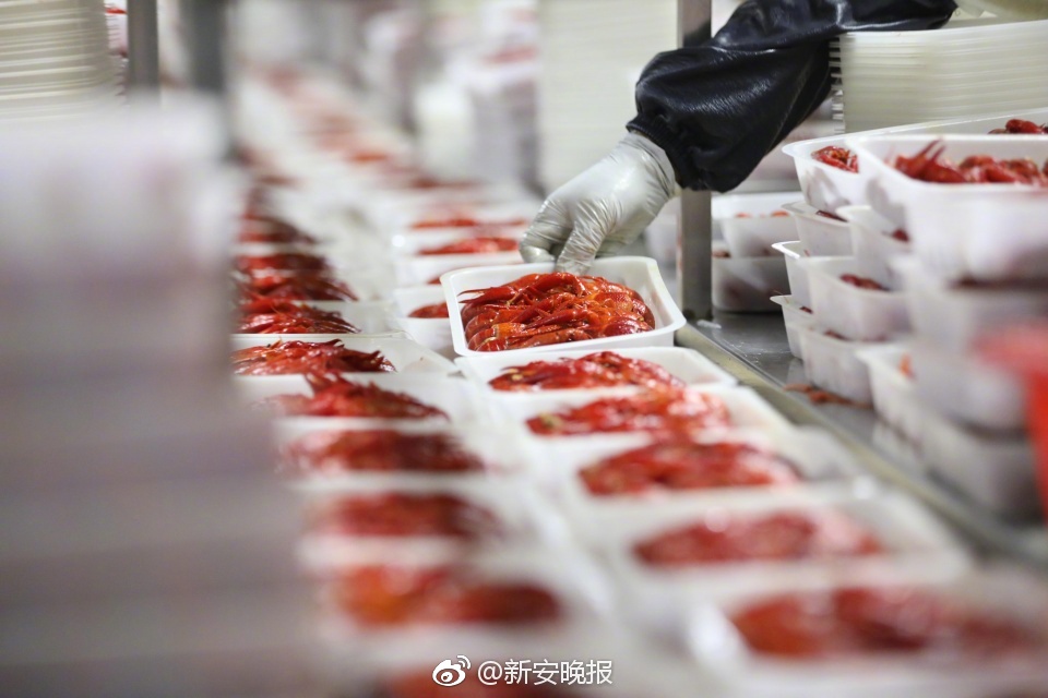 不會落空！記者：奧利斯估計本周承受拜仁體檢，隨后簽約至2029年