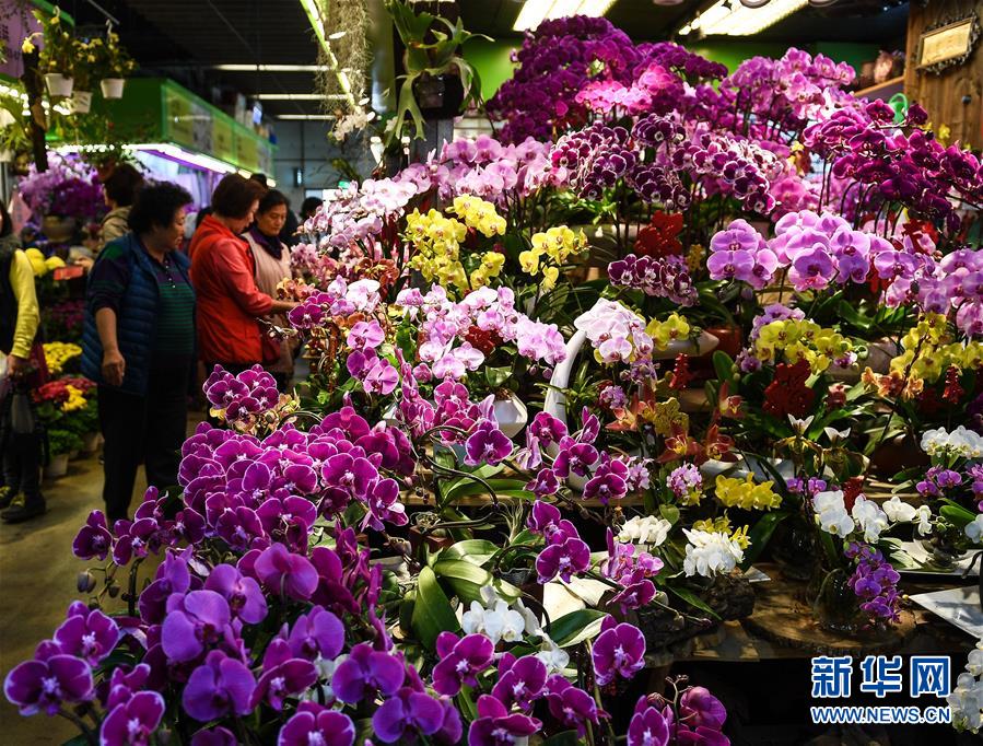 德天空記者：多特仍有意簽下切爾基，球員現(xiàn)在并不急于去巴黎