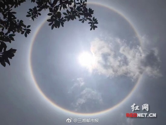 都體：尤文無力與英超競賽卡拉菲奧里，考慮基維奧爾和托迪博