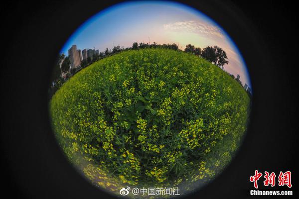 維埃里：國米新賽季會以贏得全部為方針，那不勒斯是意甲搶奪對手