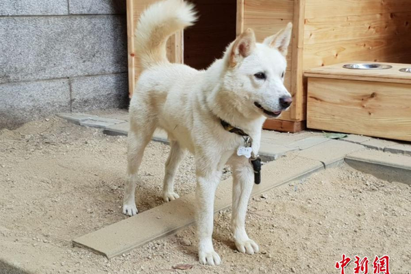 克羅斯兄弟：會幸虧是呂迪格的隊友而非對手 一度以為他腦子有病